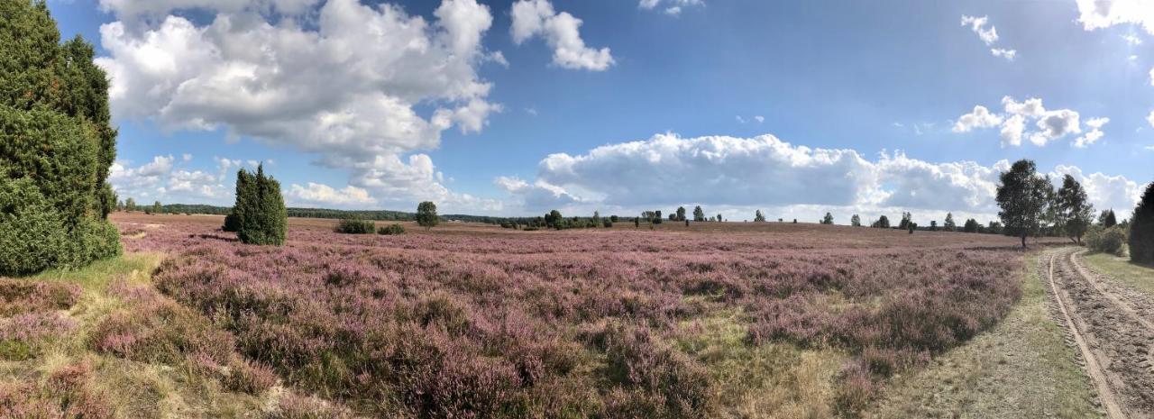 Zum Bothmerschen Krug Schwarmstedt Esterno foto